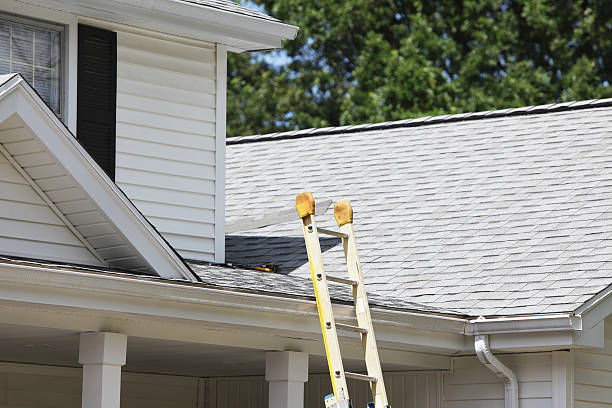 Affordable Siding Repair and Maintenance Services in Vincennes, IN